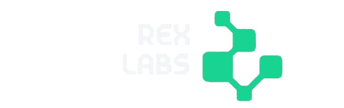 REX Labs — Automatización con IA para pymes en Chile